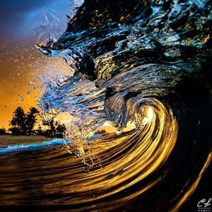 Meet your Posher, Diana